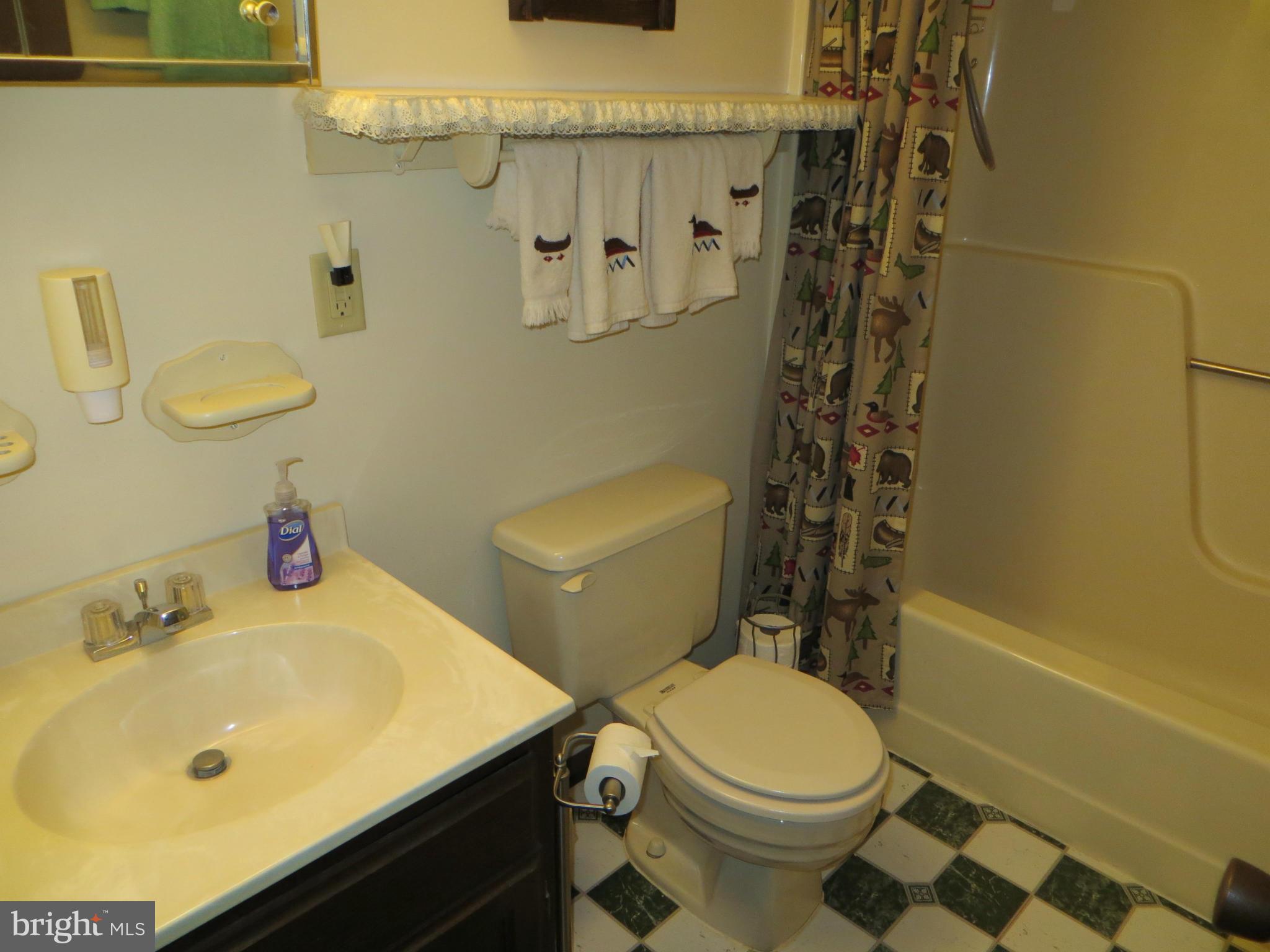 101 Animikean Ridge Hedgesville, WV 25427 - Photo 19 of 23 Bath