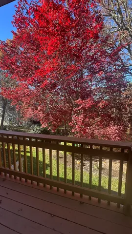 a porch with wooden floor and city view