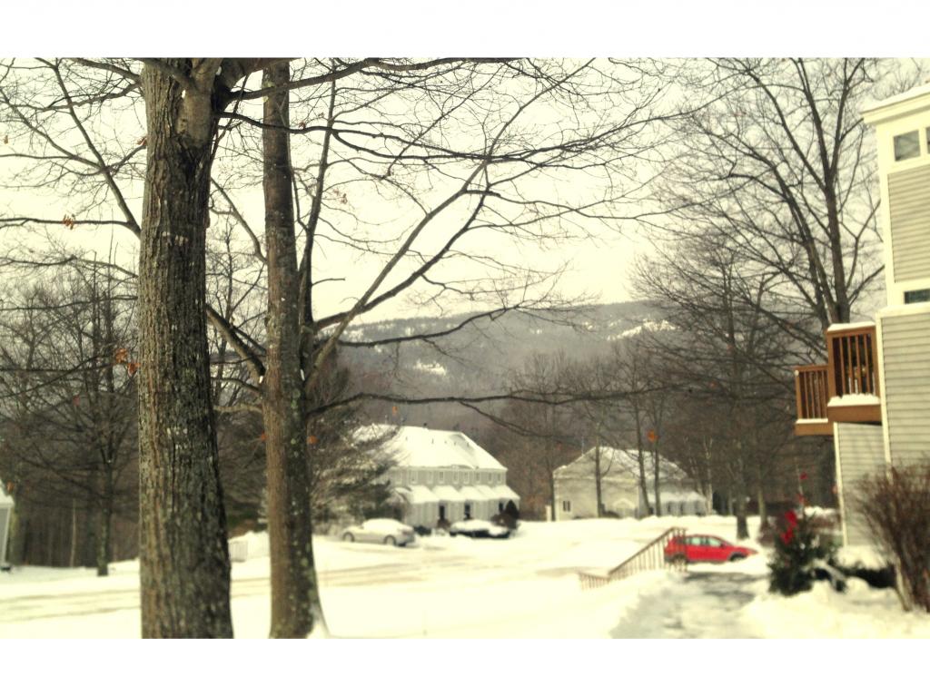 47 Partridge Woods Road, Unit 47 Bartlett, NH 03838 - Photo 2 of 30 Gallery Image 2