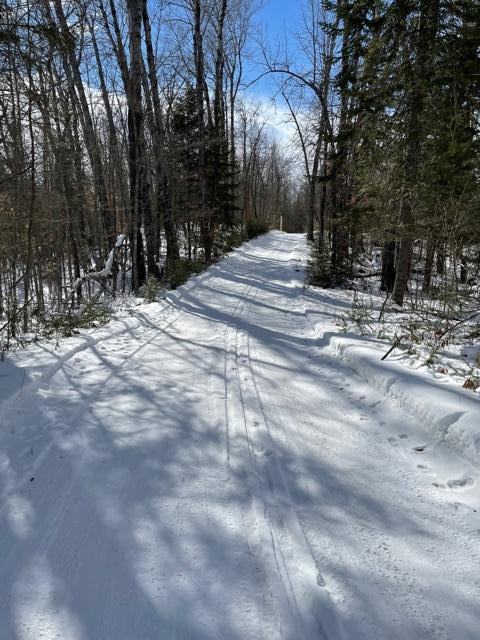 Tbd Tbd Bass Lake Road Wirt, MN 56688 - Photo 1 of 1 Gallery Image 1
