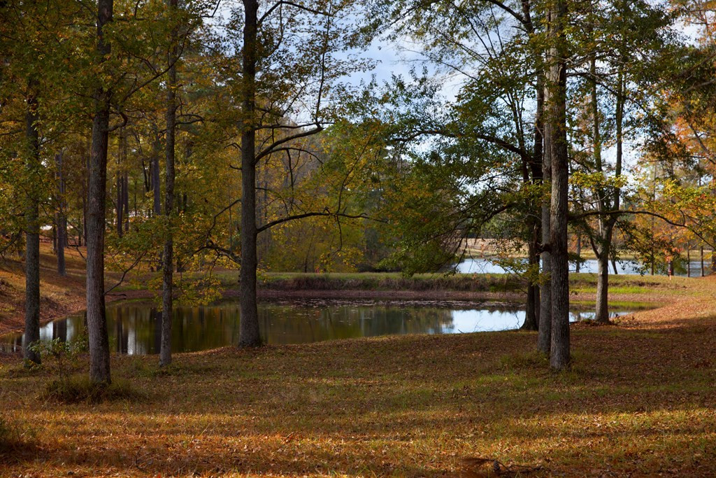 Lot 7 Louisville Road Appling, GA 30802 - Photo 4 of 6