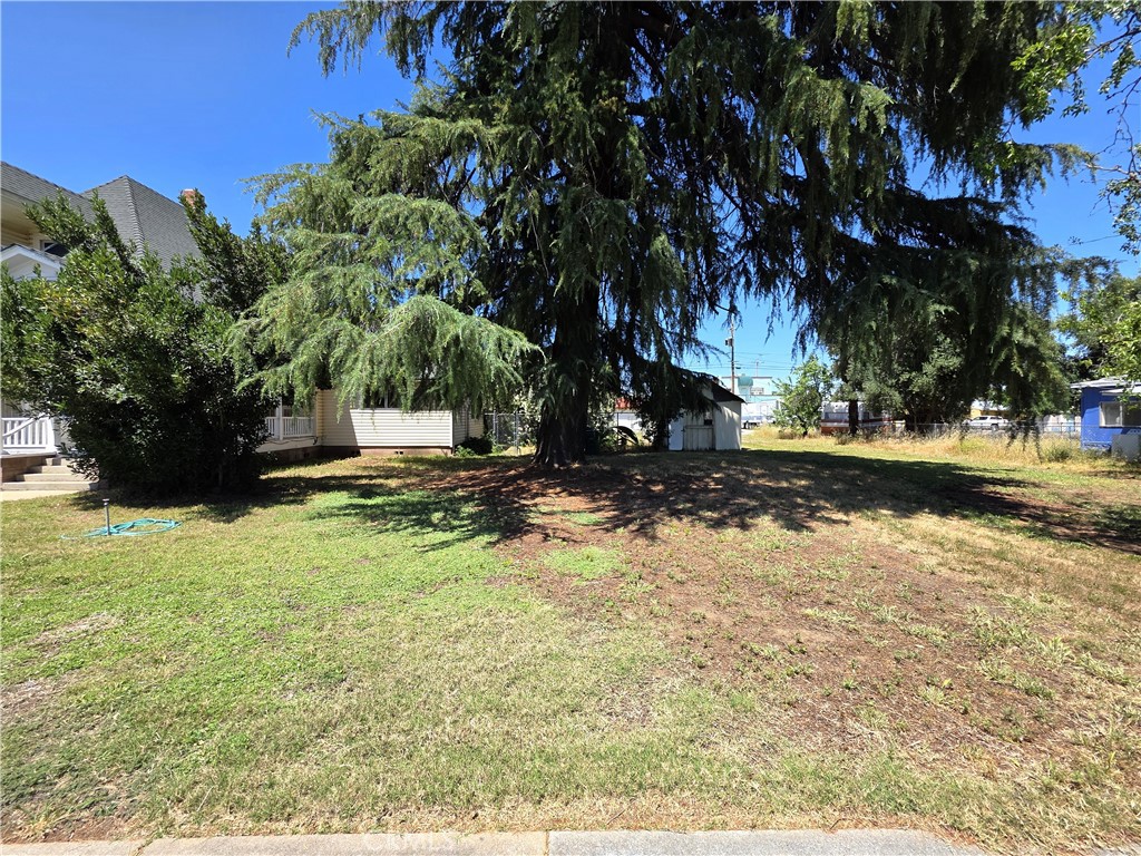 1414 Marin Street Corning, CA 96021 - Photo 39 of 43 a view of yard with tree