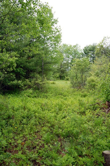 939 Godfrey Road Thetford, VT 05043 - Photo 3 of 3