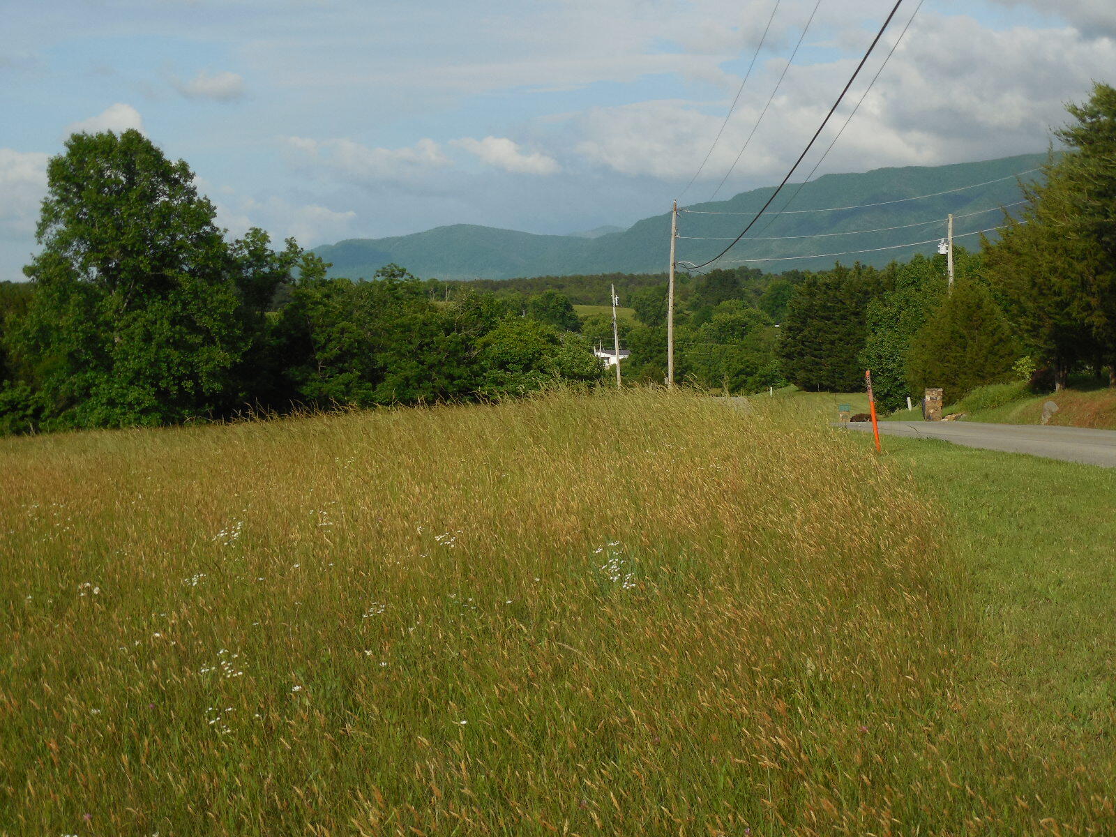 Tbd White Sands Road Greeneville, TN 37743 - Photo 4 of 7 DSCN5243