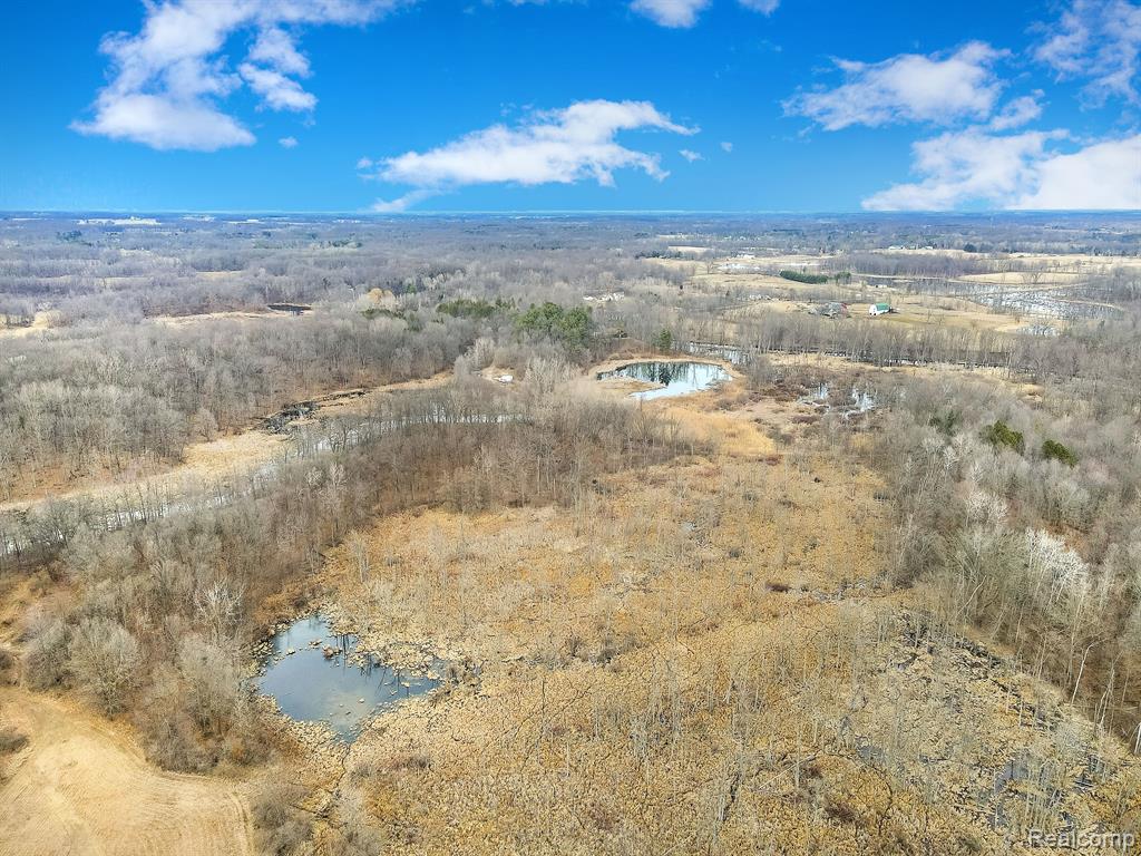 0 Lovejoy Road Byron, MI 48418 - Photo 5 of 14