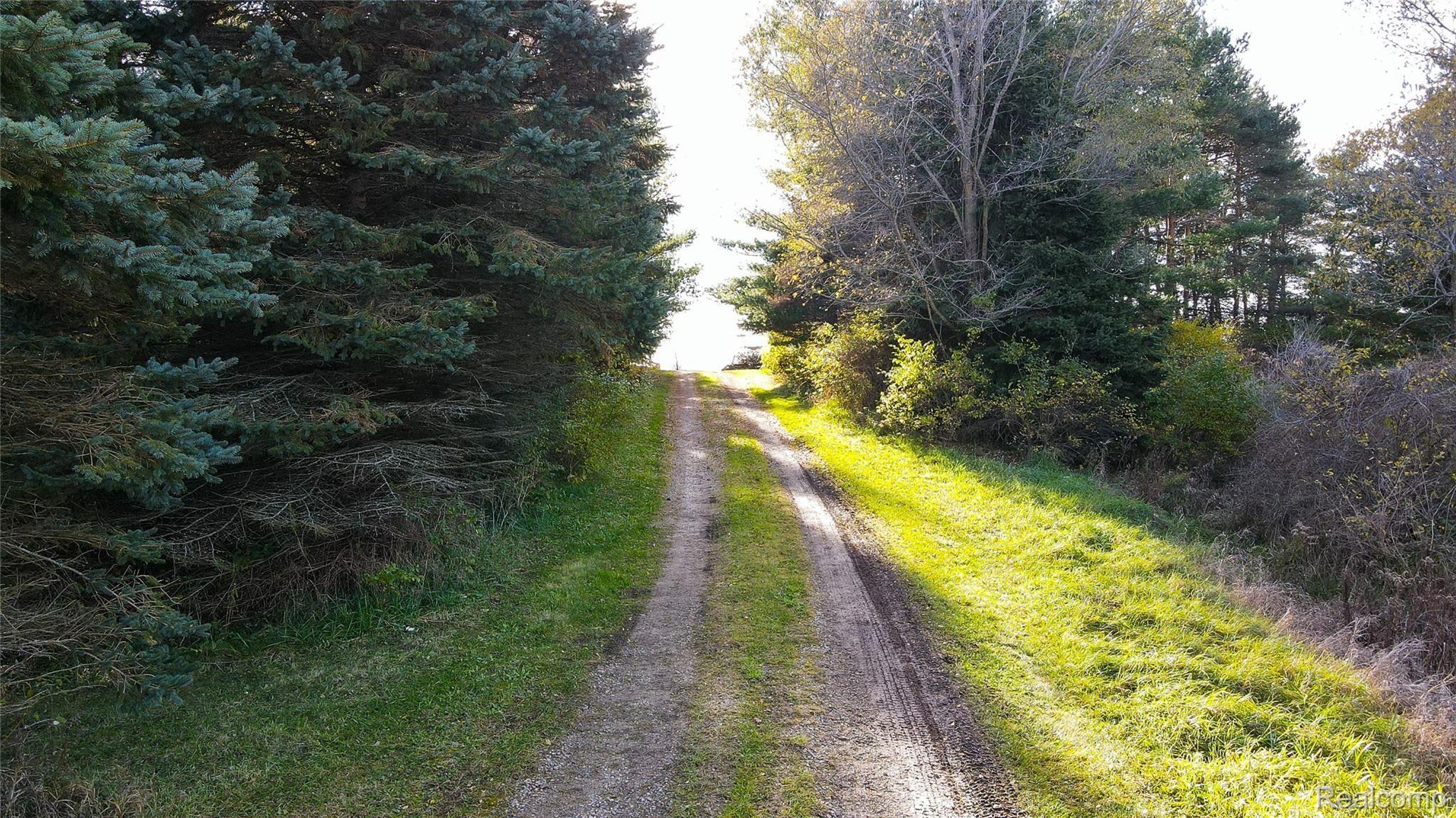9221 North Lapeer Road Mayville, MI 48744 - Photo 13 of 34 9221 Lapeer Rd Sherie-0449.jpg