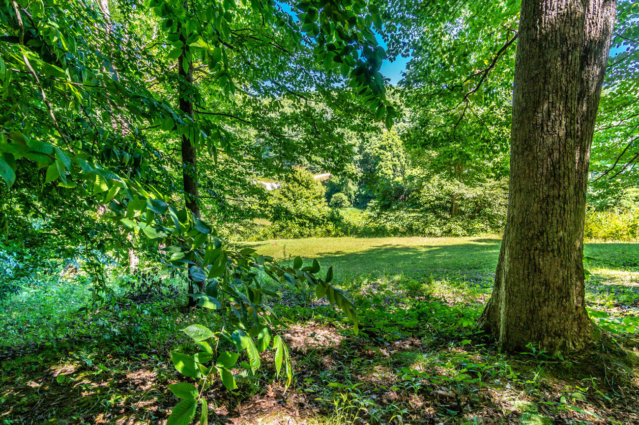 11129 Highway 1036 Road Irvine, KY 40336 - Photo 25 of 45 121