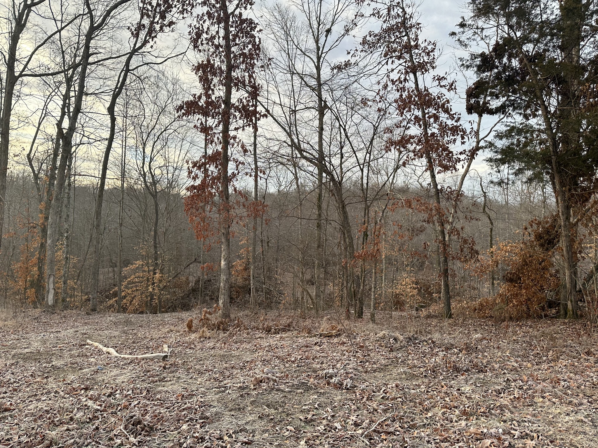 0 Red Oak Road Charlotte, TN 37036 - Photo 1 of 5 Gallery Image 1