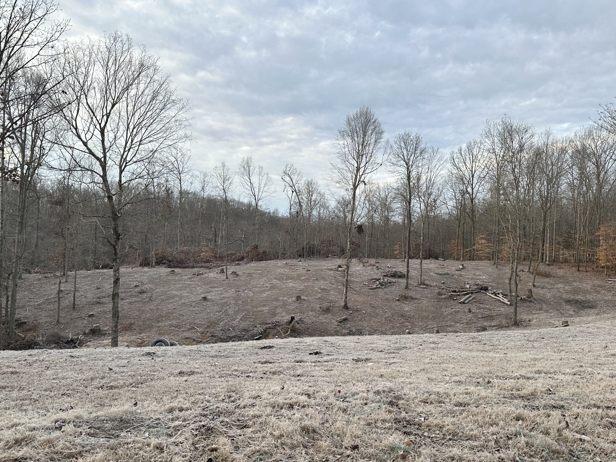 0 Red Oak Road Charlotte, TN 37036 - Photo 2 of 5 Gallery Image 2