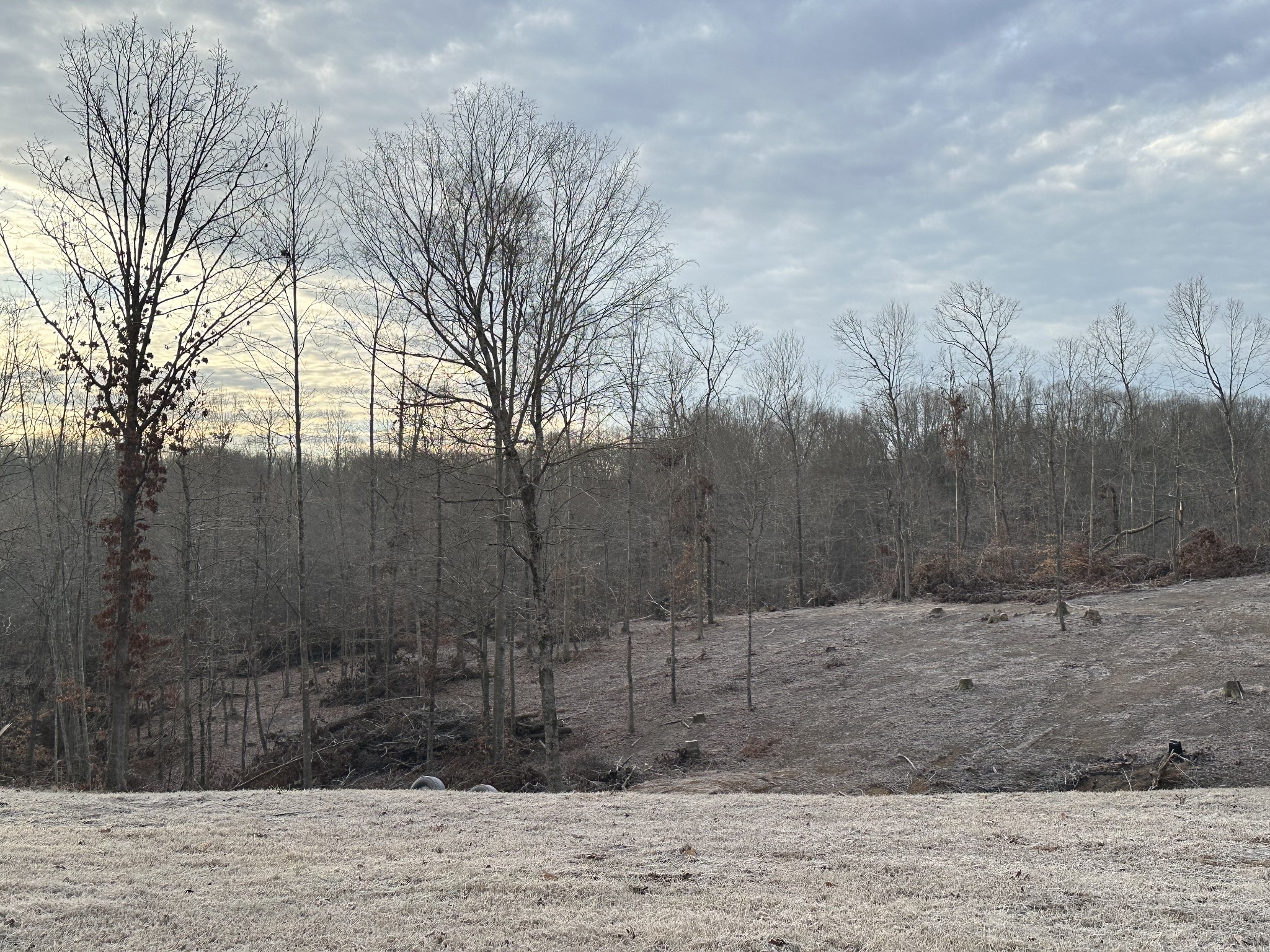 0 Red Oak Road Charlotte, TN 37036 - Photo 3 of 5 Gallery Image 3