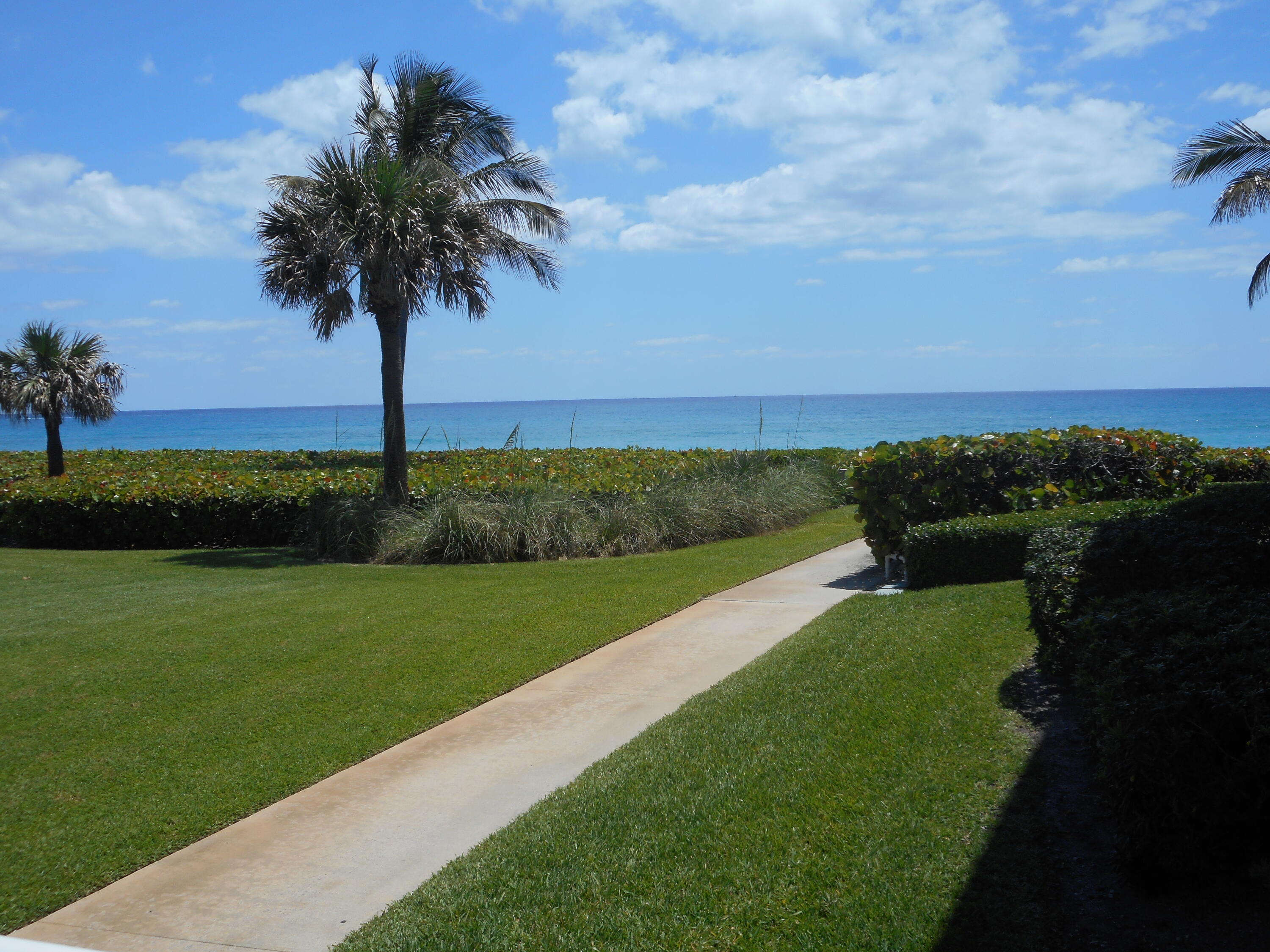 a view of a garden and yard