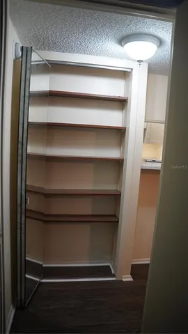 a view of walk in closet with empty racks