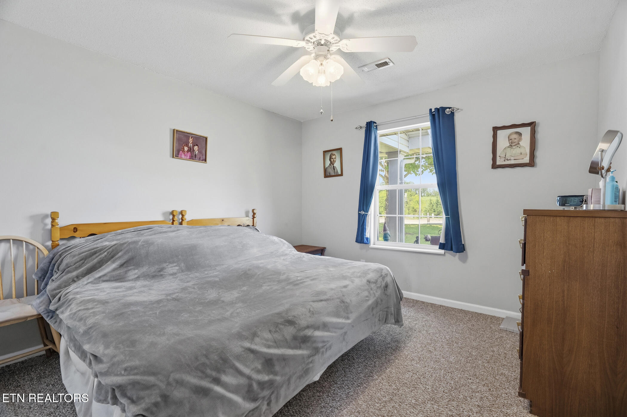 1324 Prairie Place Greenback, TN 37742 - Photo 28 of 39 dsc05230