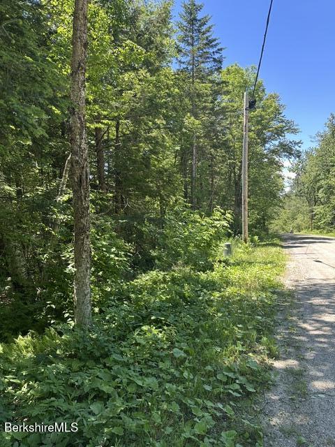 Lot108.1 Woodmere Road Becket, MA 01223 - Photo 4 of 11 Road Frontage Left