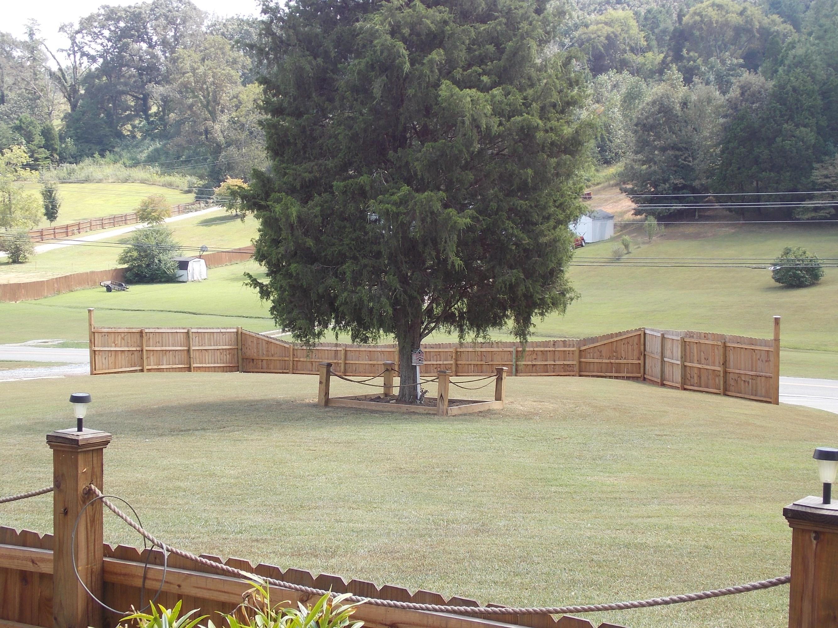 4415 Maple Hill Road Loudon, TN 37774 - Photo 36 of 37 DSCN1825