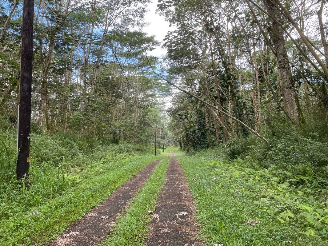 292 Paradise Road Pahoa, HI 96778 - Photo 3 of 5 Gallery Image 3