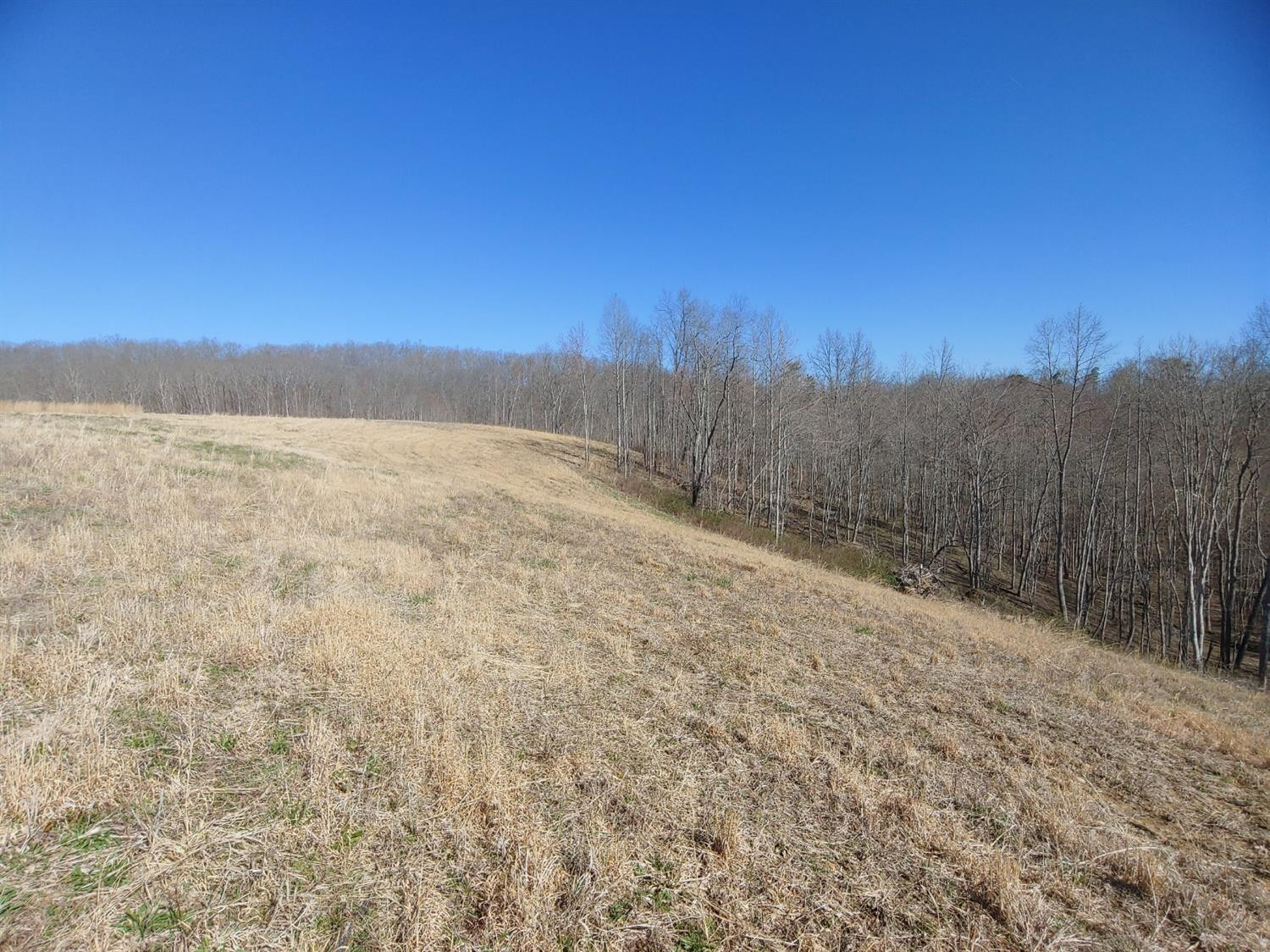 999 Pine Hill Brock Road London, KY 40741 - Photo 4 of 25 Photo 4