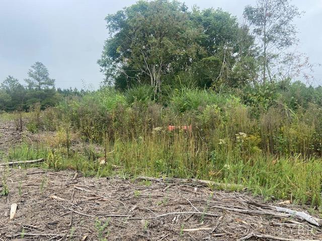 0 Hubbard Road Long Island, VA 24569 - Photo 8 of 36 a view of a yard