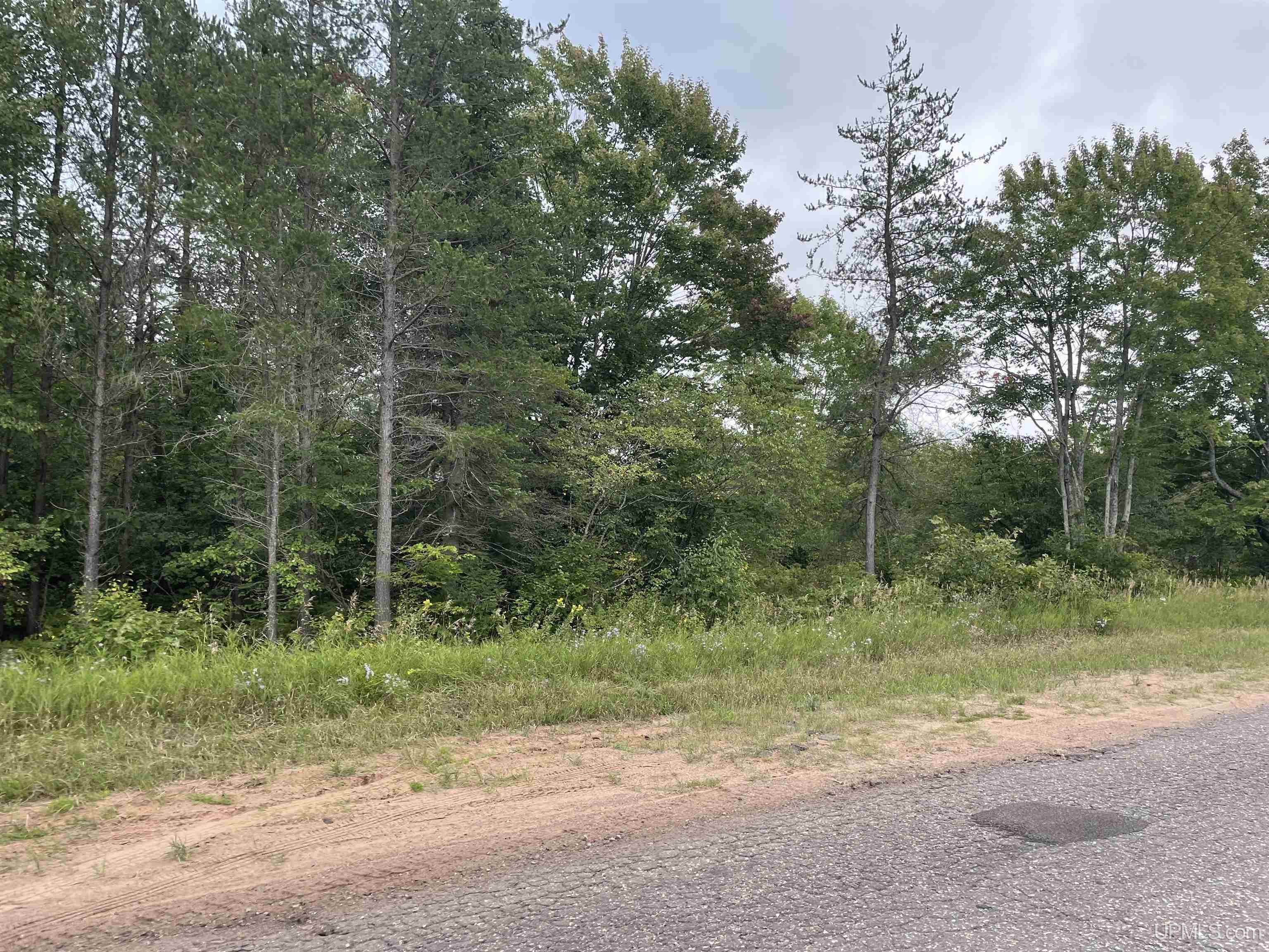 456 North Rd Little Lake Little Lake, MI 49833 - Photo 11 of 29