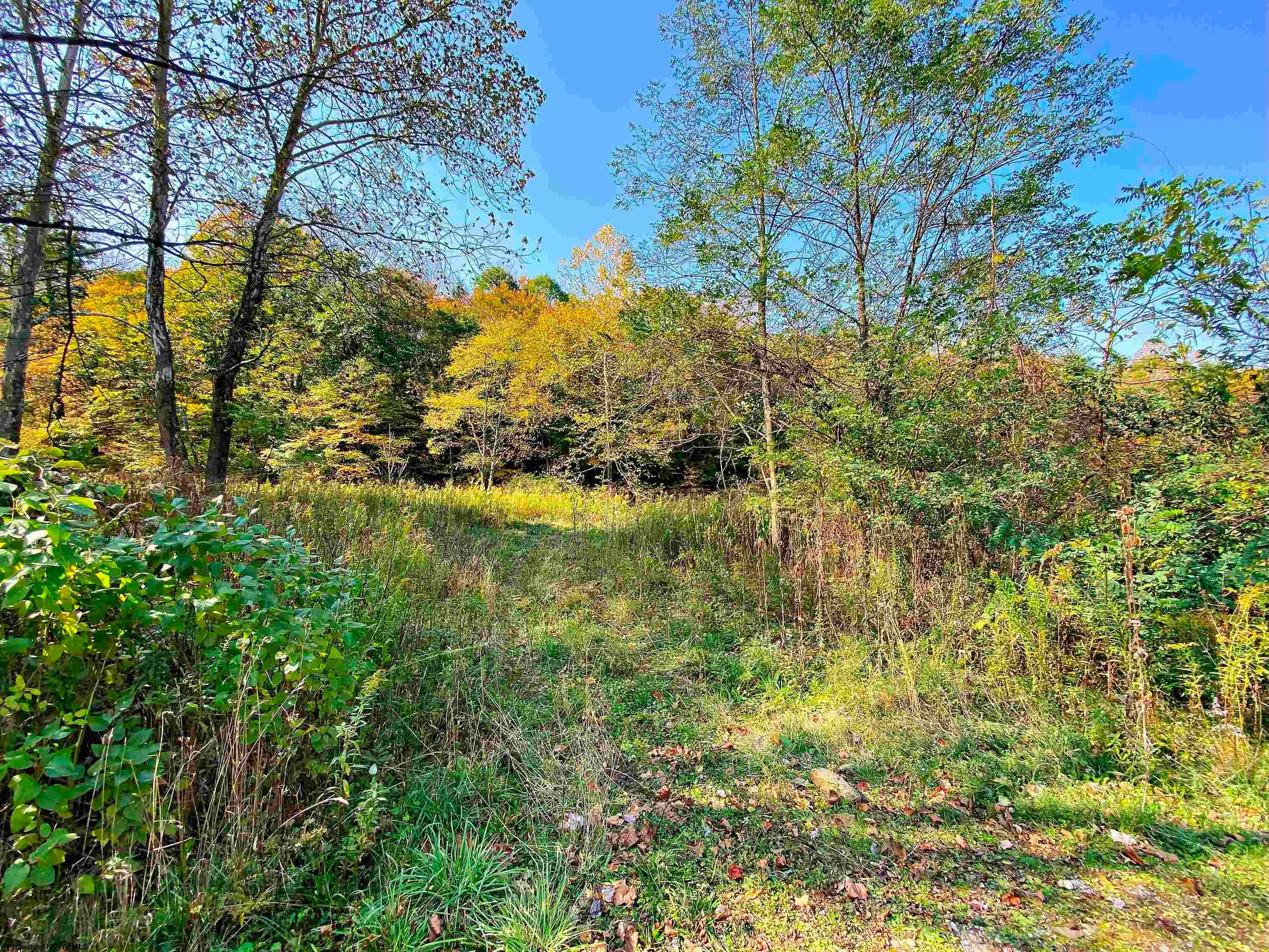 Tbd Blizzard Gate Road Harman, WV 26270 - Photo 1 of 16 Gallery Image 1