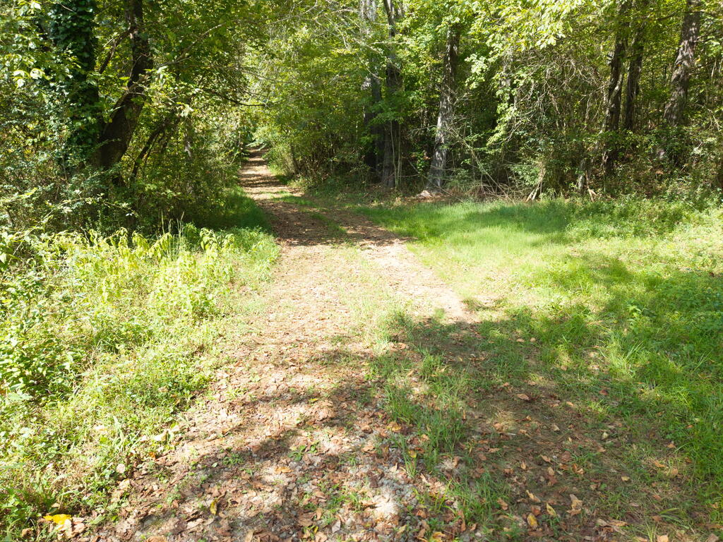 1305 Qualla Road Hayesville, NC 28904 - Photo 7 of 21 Gallery Image 7