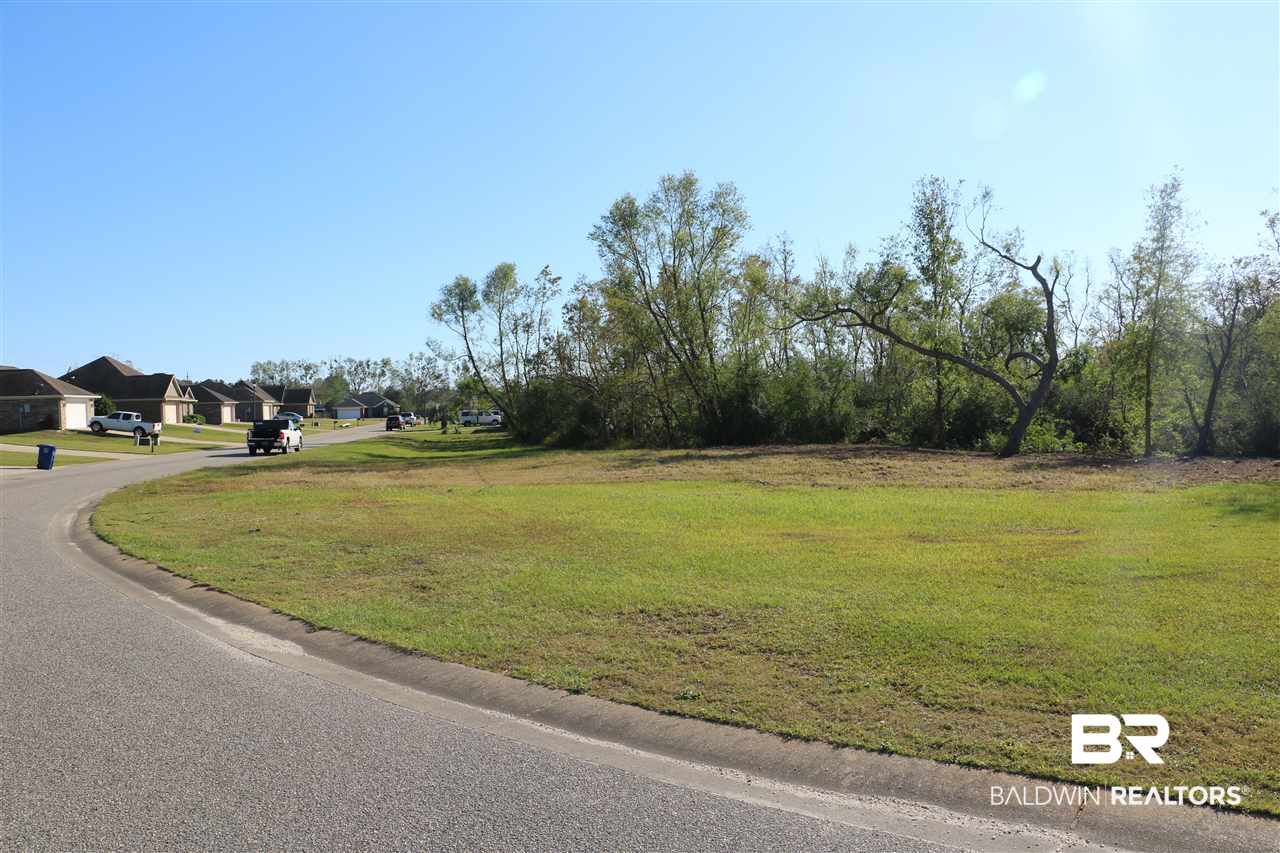 Lot 41 Thames Drive Foley, AL 36535 - Photo 2 of 14