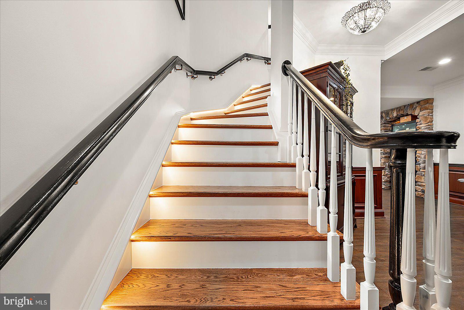 17 Perder Lane Edgewater, MD 21037 - Photo 65 of 115 Lit stairs to lower level