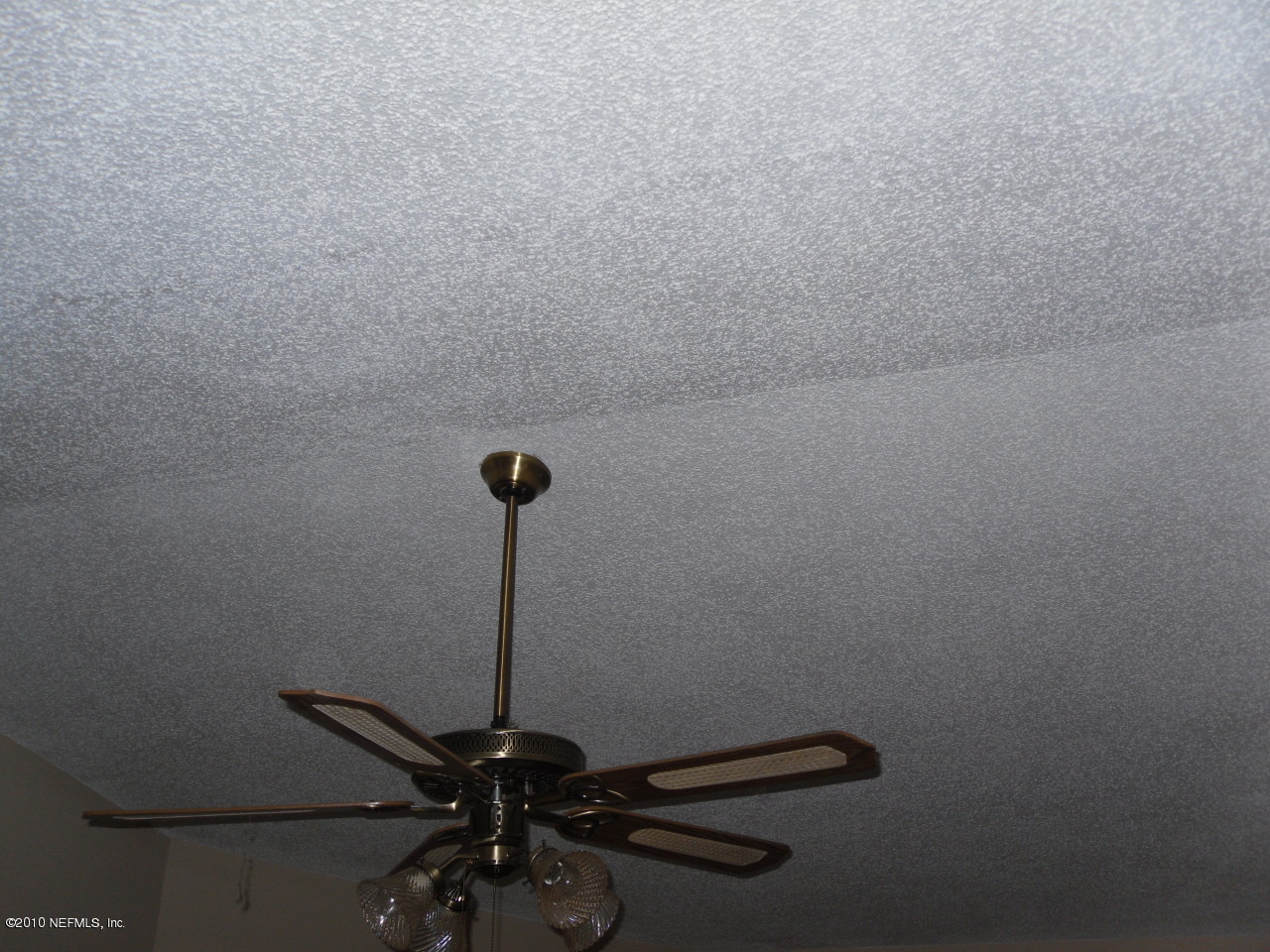 8921 Ivey Road Jacksonville, FL 32216 - Photo 18 of 20 Ceiling Fan