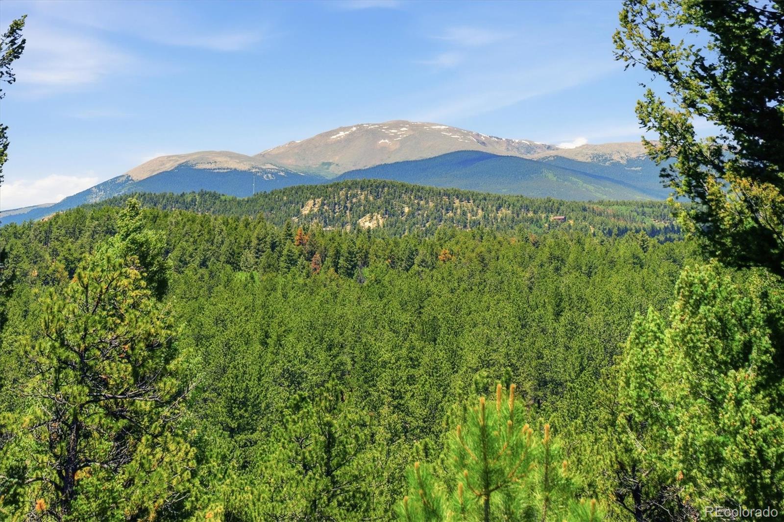 224 Hangmans Road Bailey, CO 80421 - Photo 27 of 31