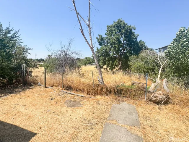 a bathroom with a tub and a potted plant