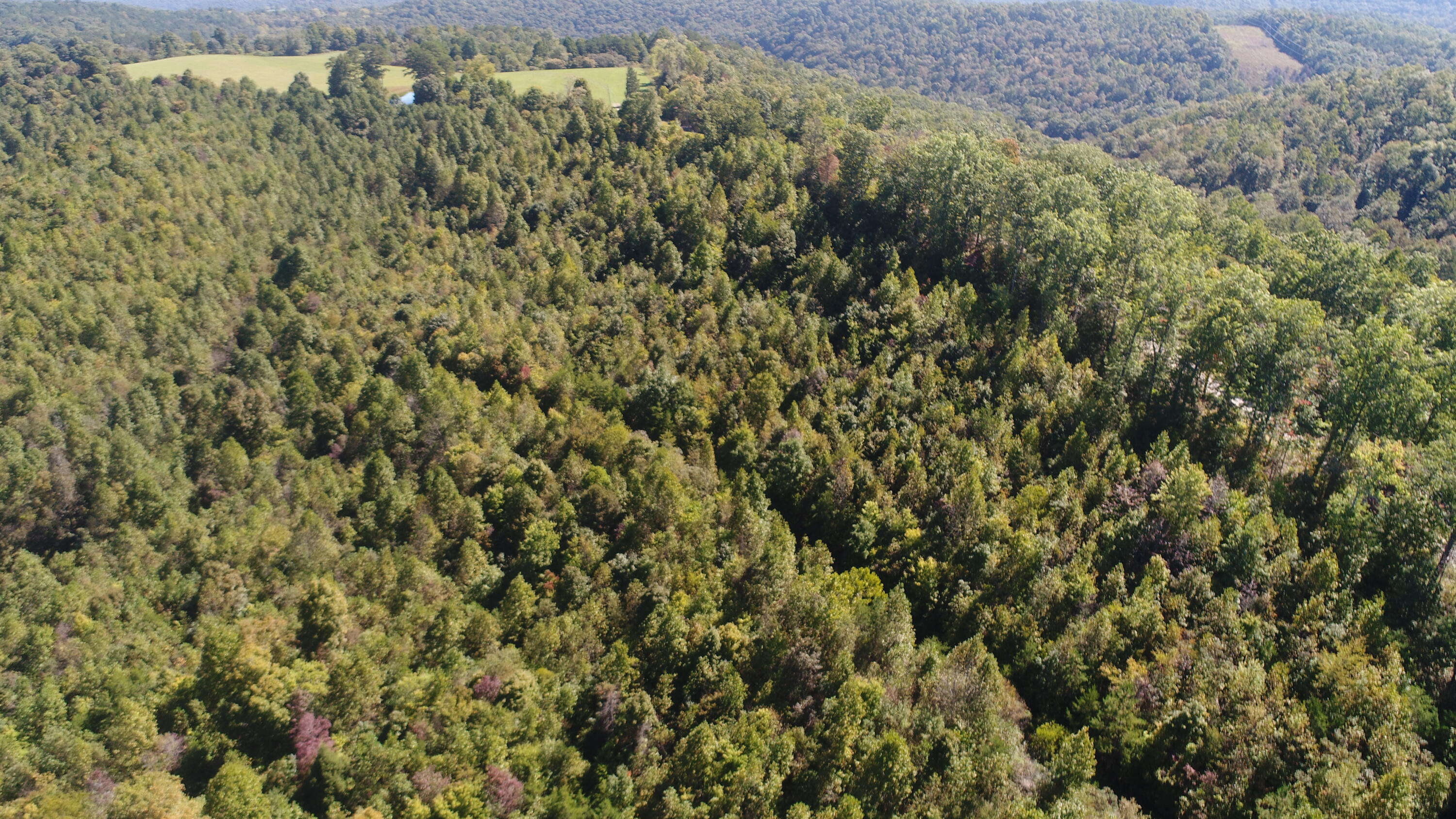 200 Wesley Chapel Road Somerset, KY 42501 - Photo 13 of 19 DJI_0566