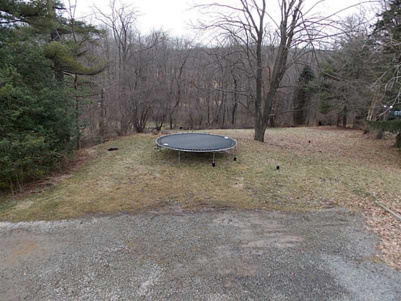 3716 Bakerstown Road Gibsonia, PA 15044 - Photo 18 of 20 Yard/Garden.