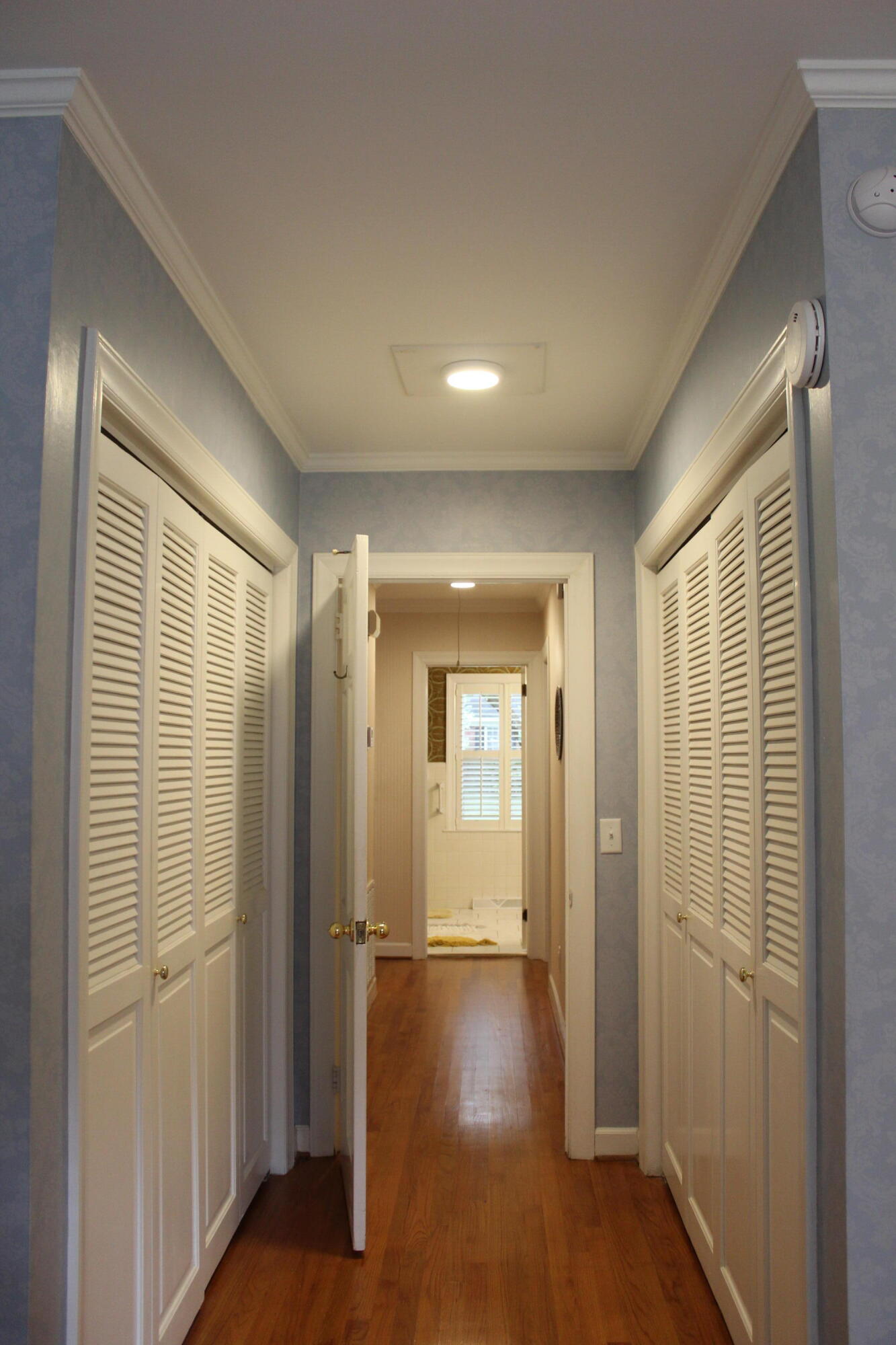 1919 Westminster Road Charleston, SC 29407 - Photo 74 of 100 Photo Oct 10, 2 49 45 PM (1)
