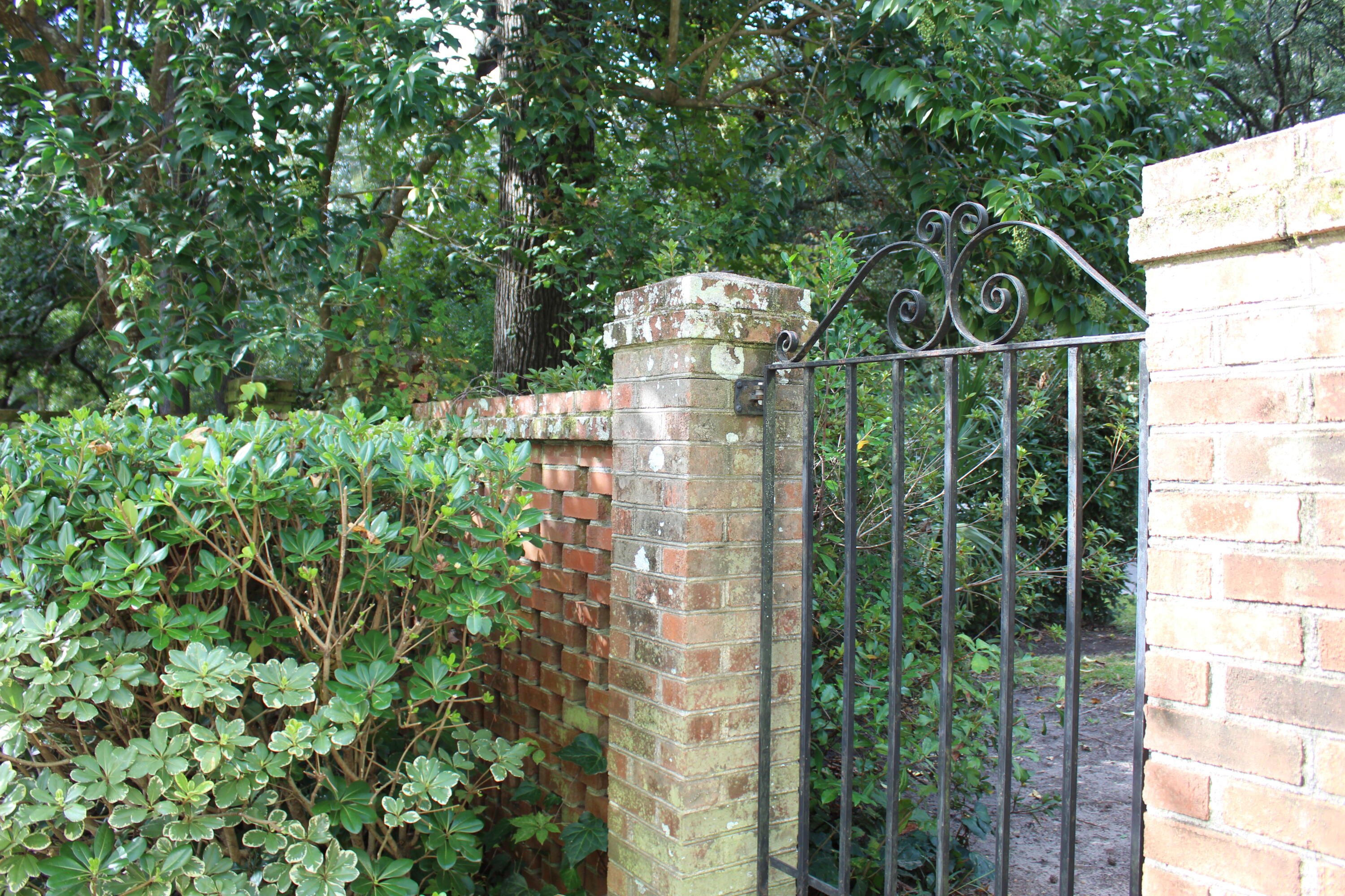 1919 Westminster Road Charleston, SC 29407 - Photo 84 of 100 Photo Oct 10, 2 54 34 PM