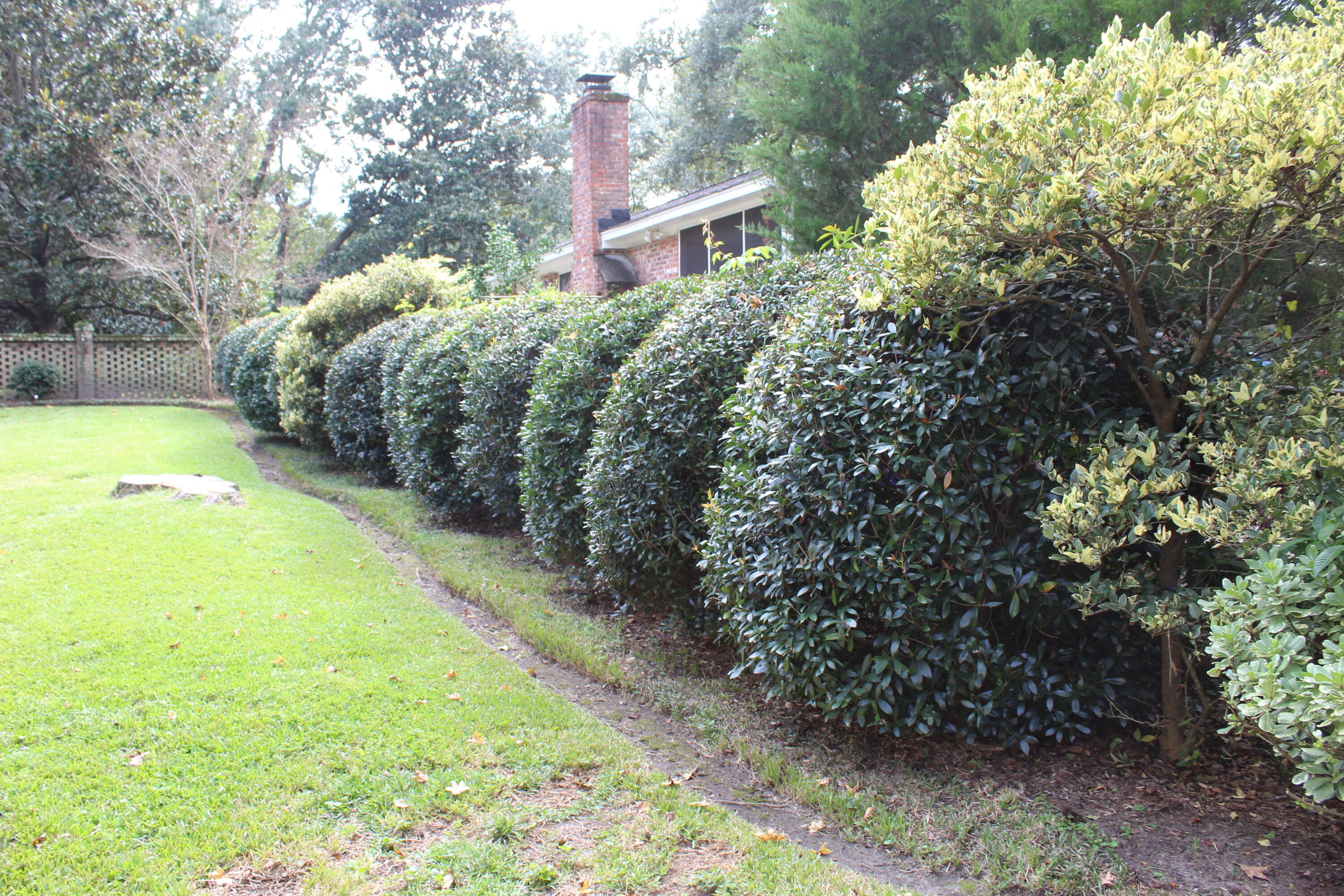 1919 Westminster Road Charleston, SC 29407 - Photo 90 of 100 Photo Oct 10, 2 54 56 PM