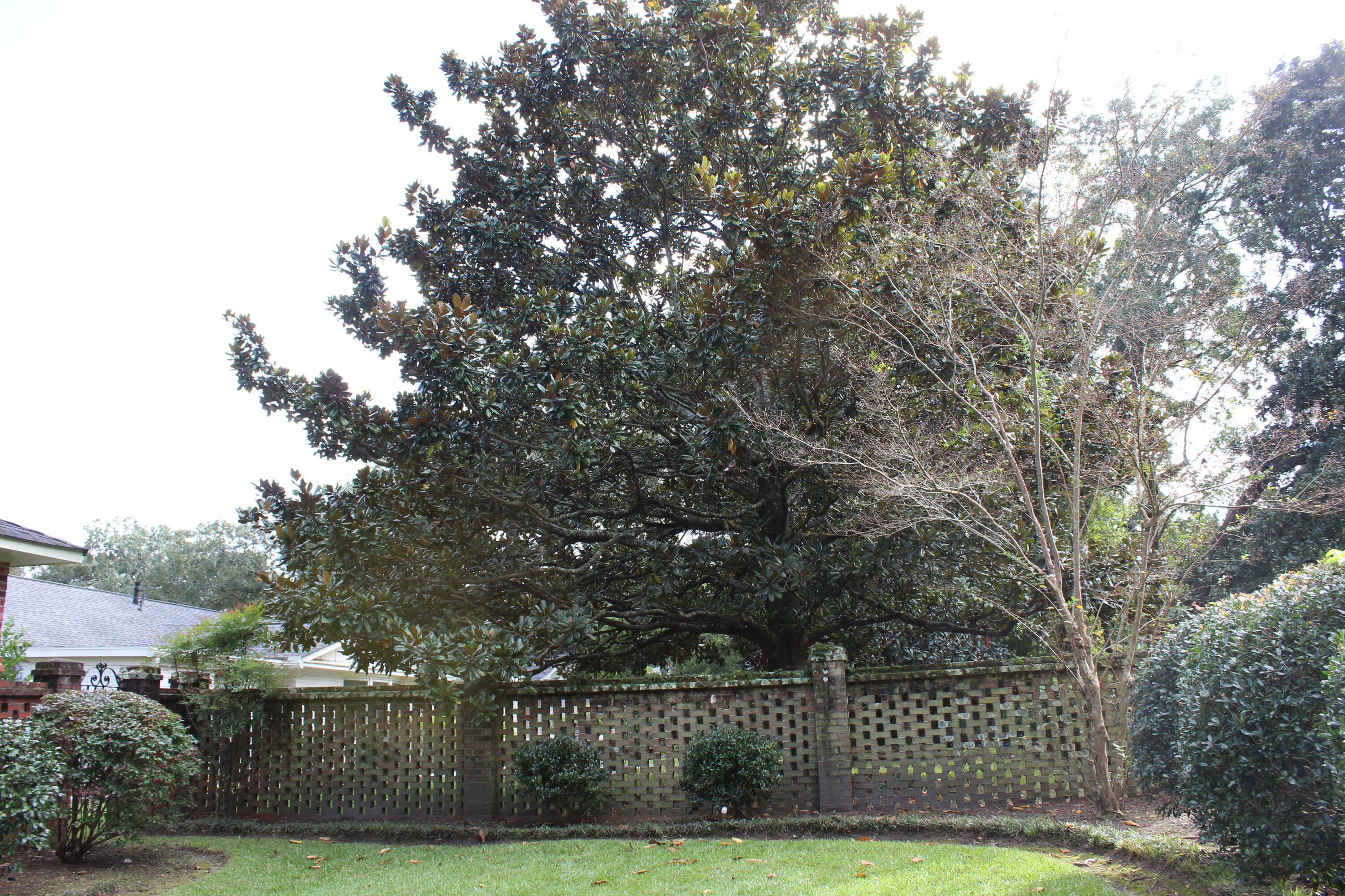 1919 Westminster Road Charleston, SC 29407 - Photo 95 of 100 Photo Oct 10, 2 55 50 PM