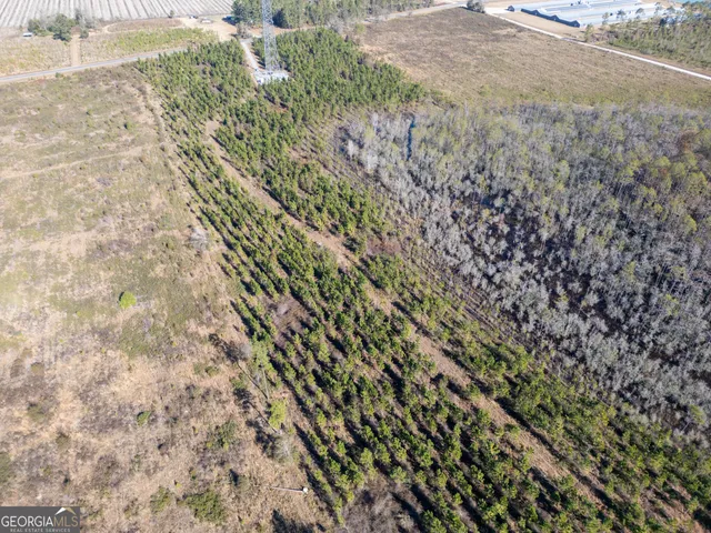 $334,620 | 0 Piney Grove, Bristol, GA 31518