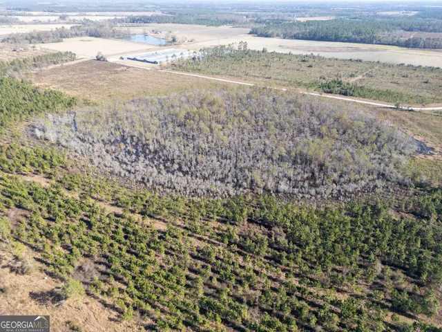 $334,620 | 0 Piney Grove, Bristol, GA 31518