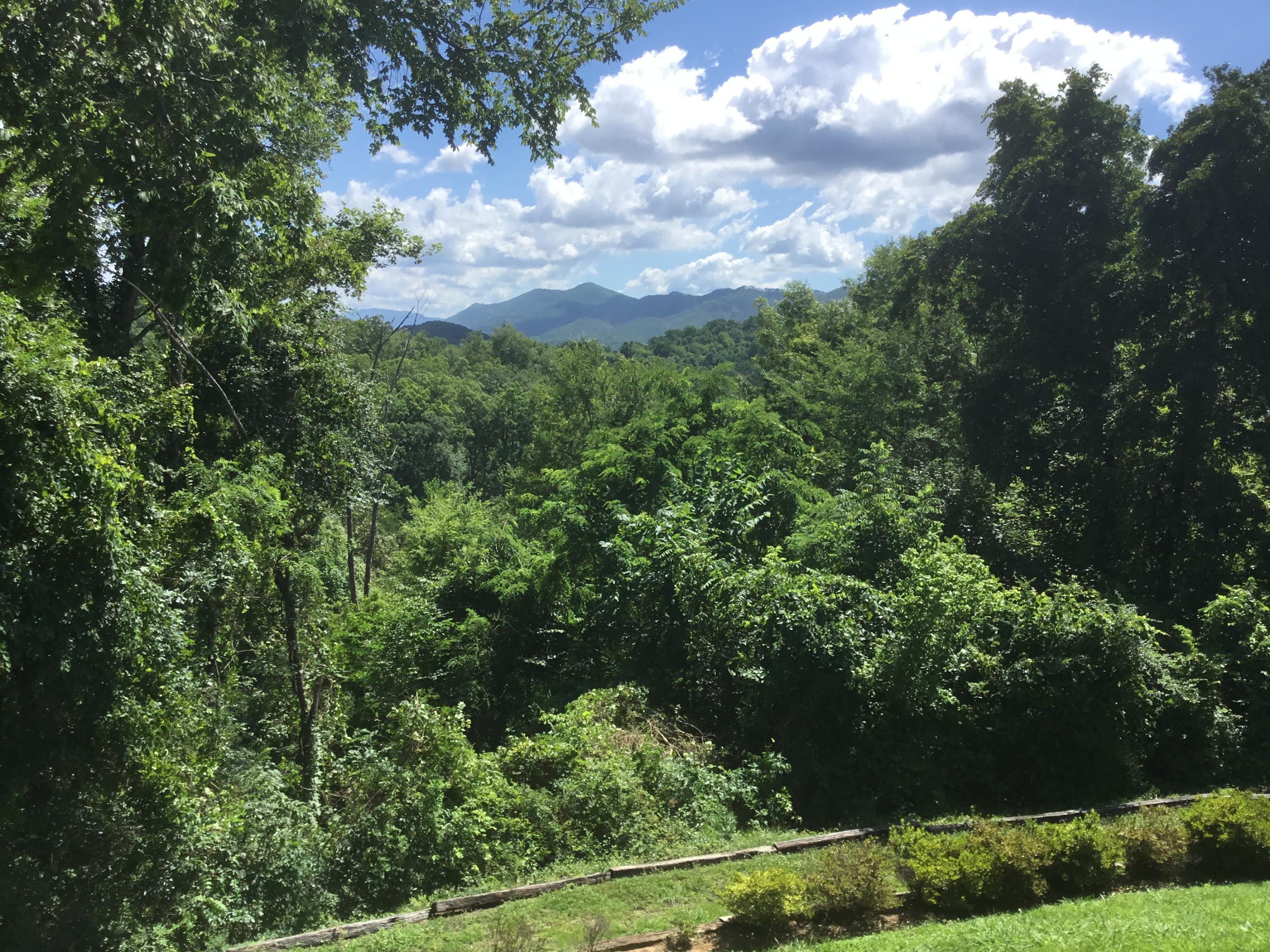 View from Living Room & Deck