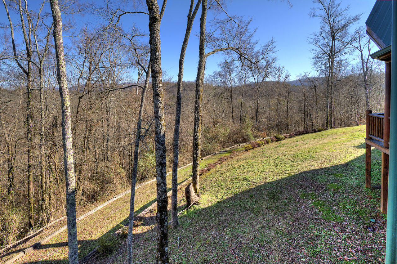451 Trails End Road, Unit 4 Walland, TN 37886 - Photo 35 of 40 Backyard View