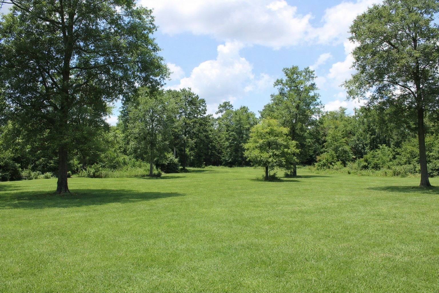 1202 County Road 1099 Wiergate, TX 75977 - Photo 17 of 22 a view of field with trees in the background