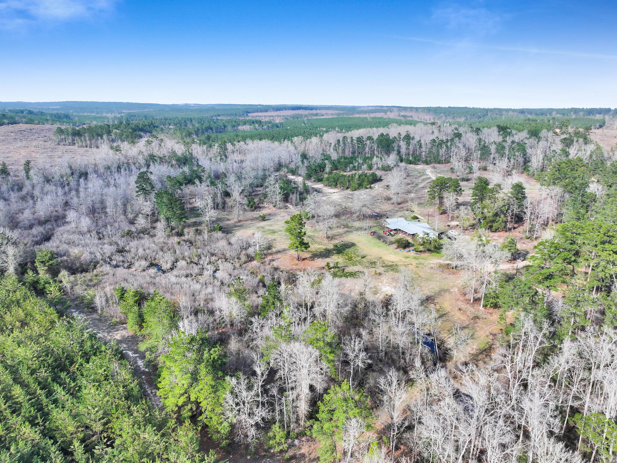 1202 County Road 1099 Wiergate, TX 75977 - Photo 21 of 22 a view of a field with trees in the background