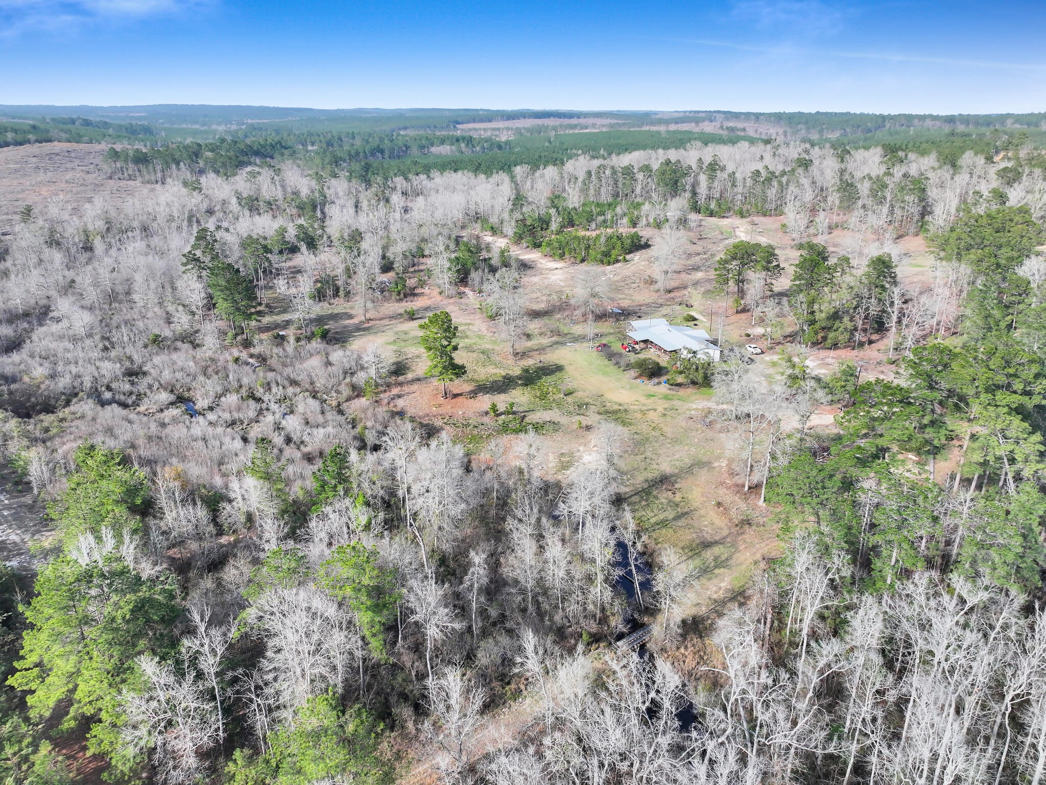1202 County Road 1099 Wiergate, TX 75977 - Photo 22 of 22 a view of city and mountain