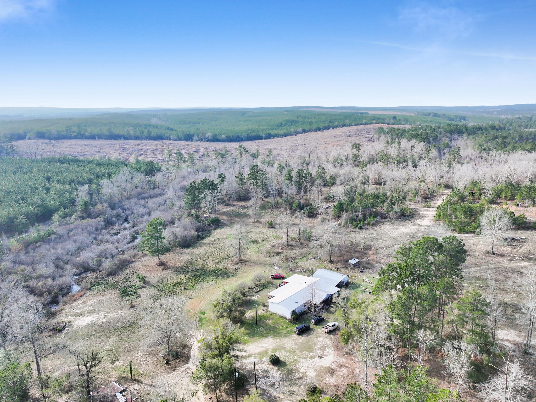 1202 County Road 1099 Wiergate, TX 75977 - Photo 3 of 22 a view of a dry yard with trees