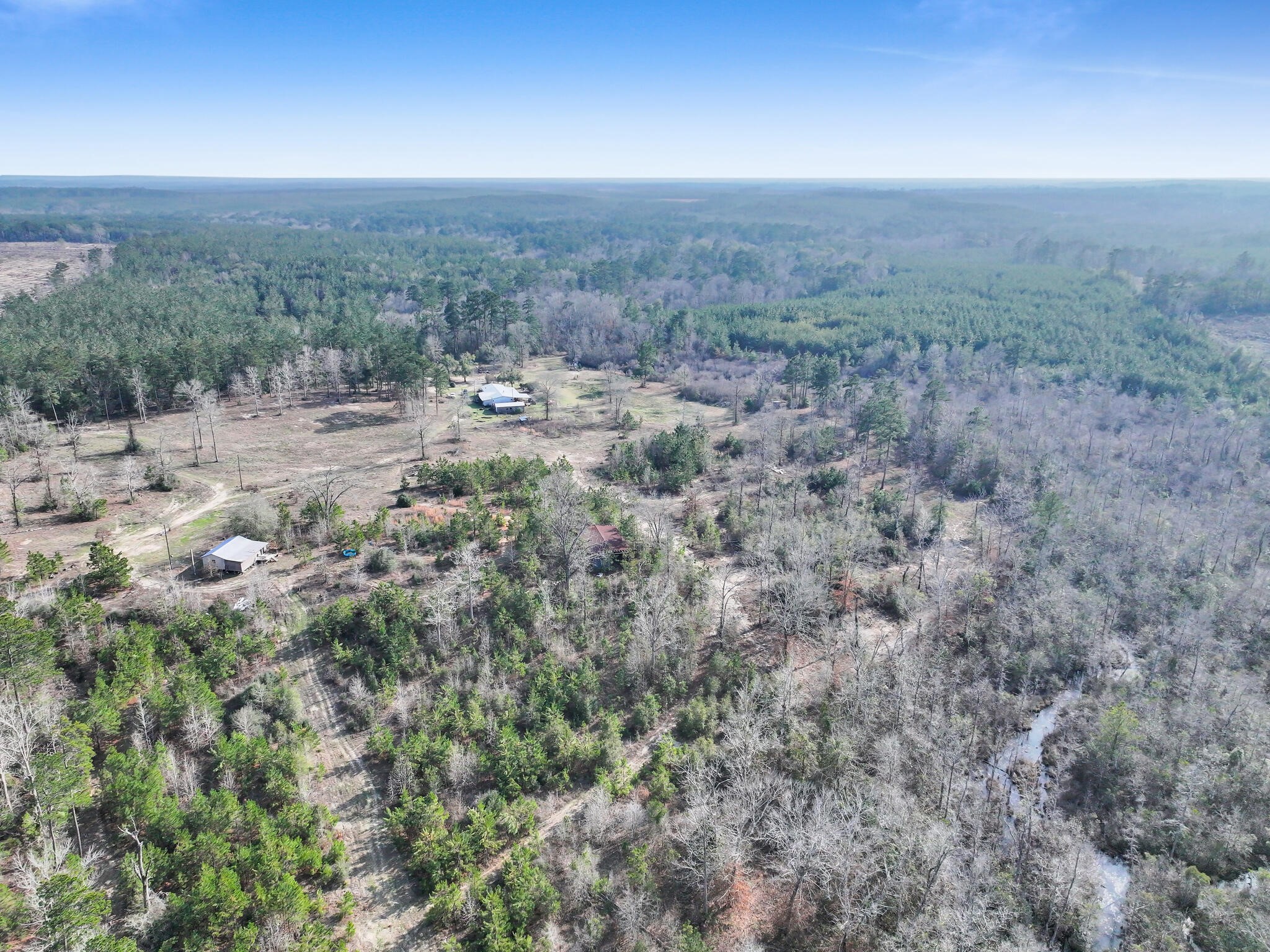 1202 County Road 1099 Wiergate, TX 75977 - Photo 5 of 22 a view of a dry yard with trees