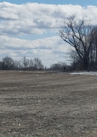 0 Holly Road Sterling, IL 61081 - Photo 1 of 5