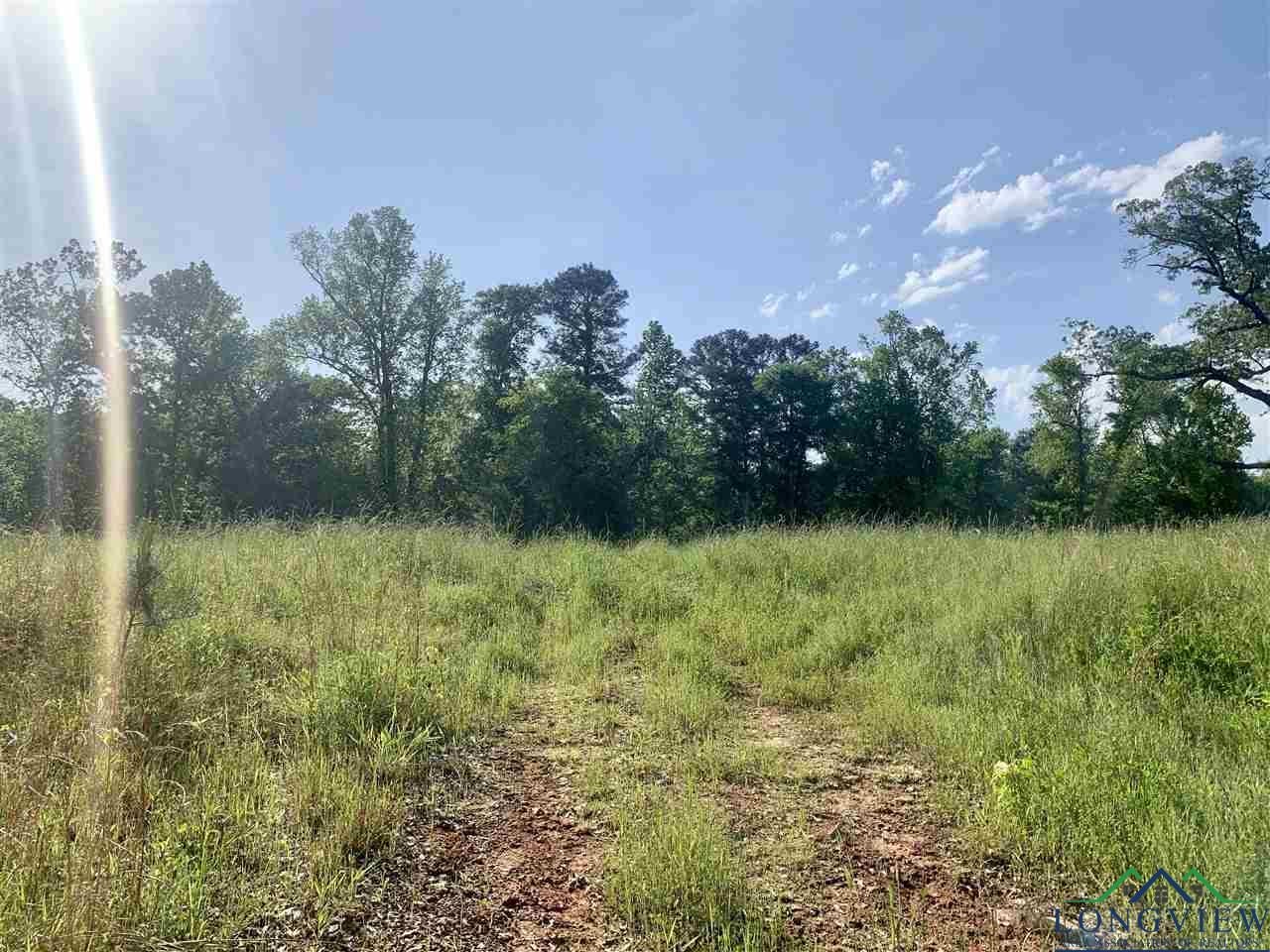 4105 Hall Road Daingerfield, TX 75638 - Photo 8 of 17 Gallery Image 8