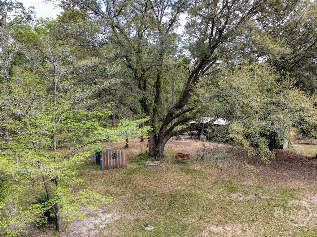 423 Place In The Country Road Hinesville, GA 31313 - Photo 43 of 60