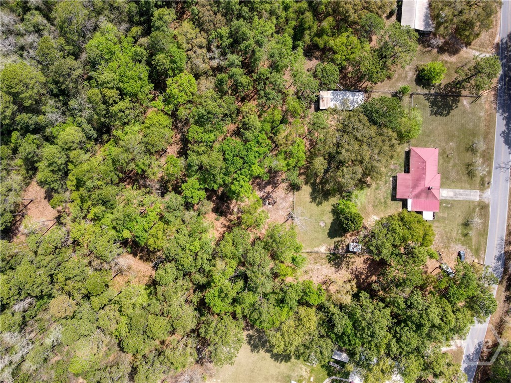 423 Place In The Country Road Hinesville, GA 31313 - Photo 46 of 60