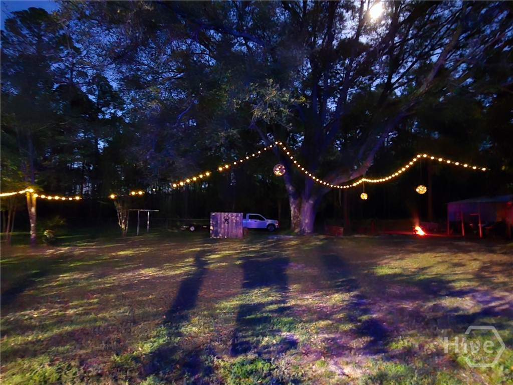 423 Place In The Country Road Hinesville, GA 31313 - Photo 49 of 60